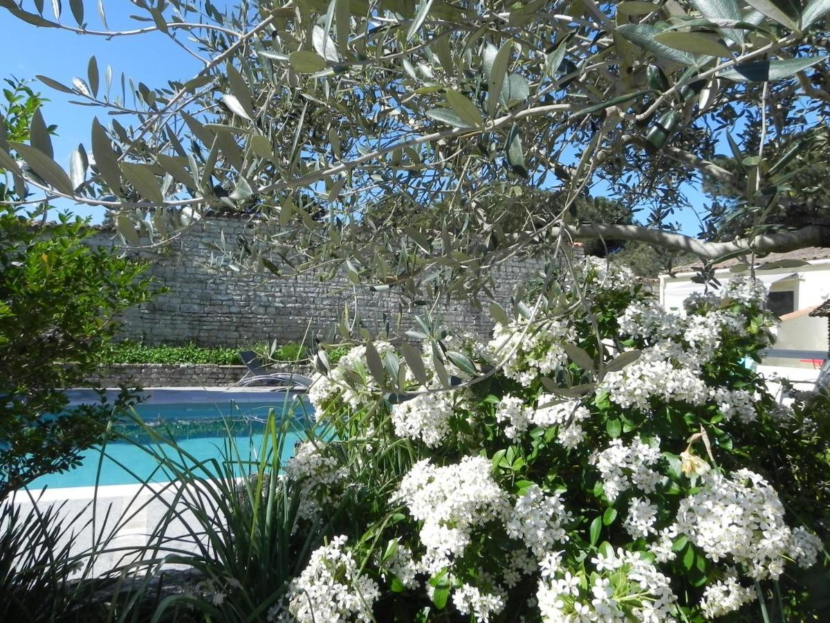 Villa Del Re 3 Face A La Piscine Ла-Флот Экстерьер фото